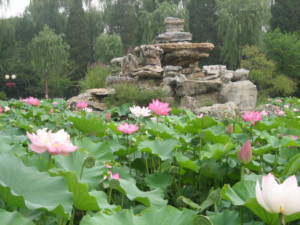 Beijing Fuyuan Garden Business Hotel Eksteriør billede